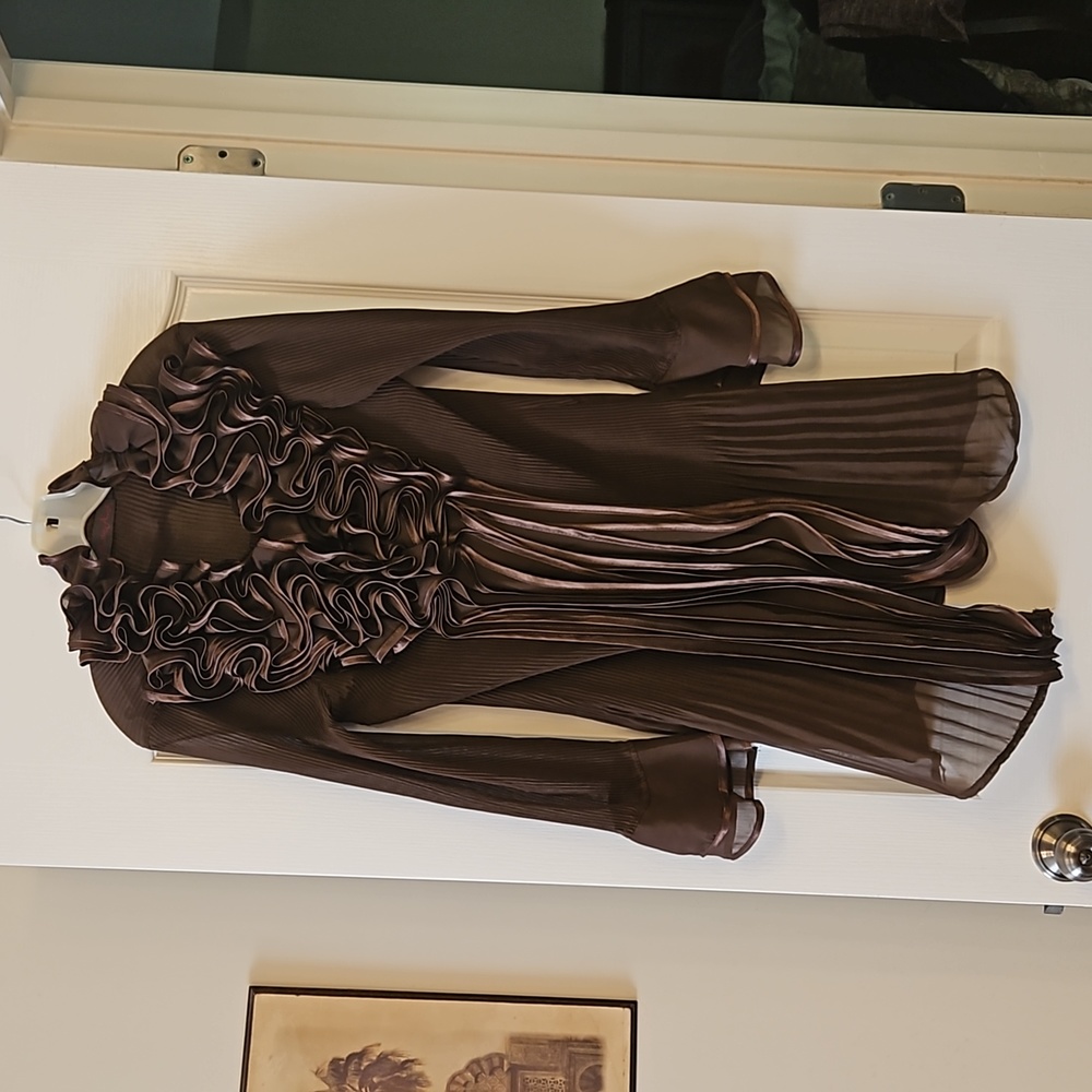Brown dressy top/dress